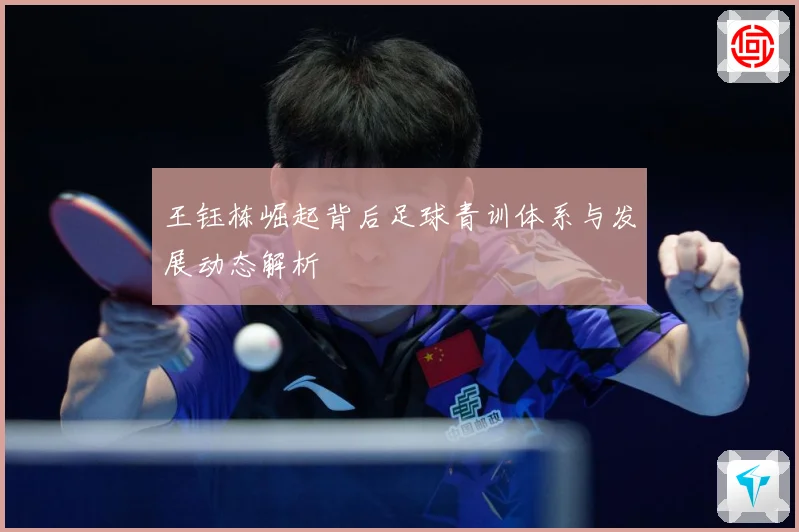 王钰栋崛起背后足球青训体系与发展动态解析